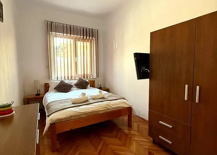Domnita Ancuta 7 Apartment *