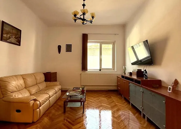 Apartment Domnita Ancuta 7 *